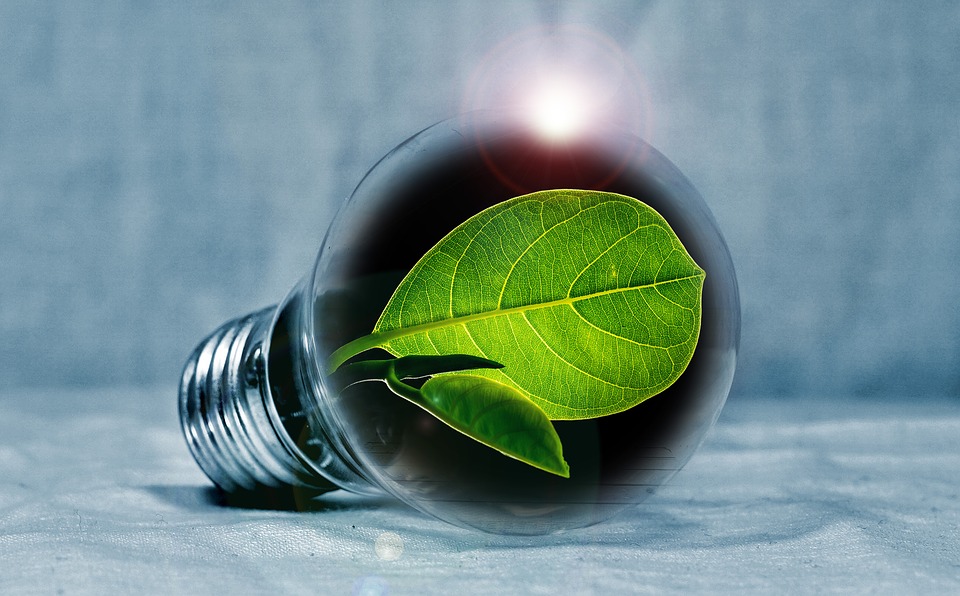 On parle du Revenu de Transition Écologique sur France Culture !