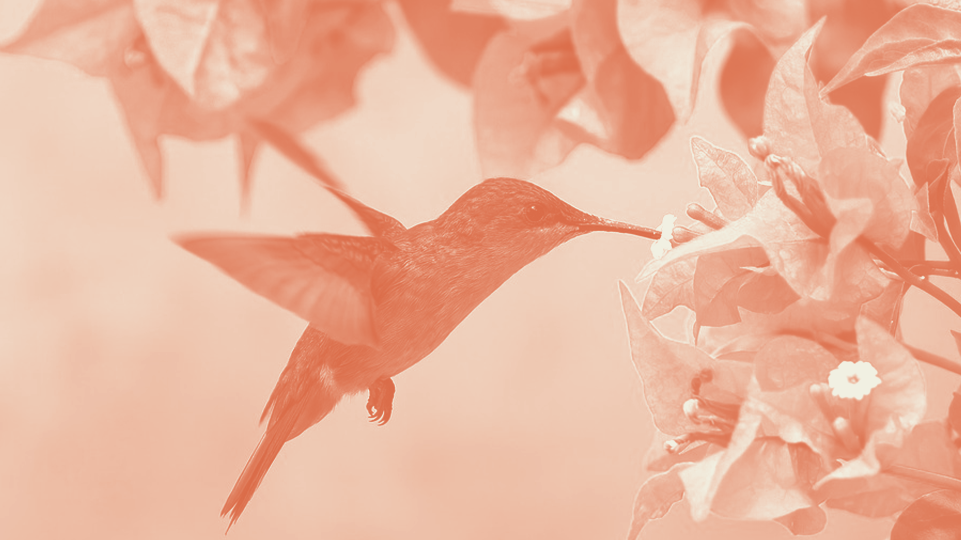 Financements pour accompagner les entreprises vers l’EFC