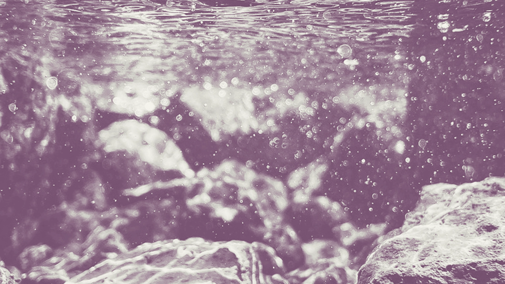 Lancement du fonds de financement du Revenu de Transition Écologique [RTE]