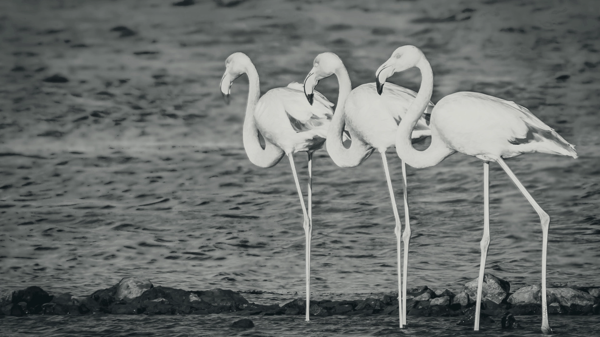 Revenu de Transition Écologique [RTE] : dans l&rsquo;Aude, avec Audyssées [vidéo]